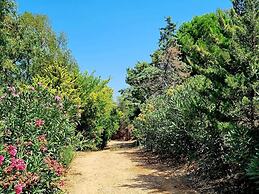 Sole Foca - Adult Only