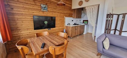 Sole Foca - Adult Only