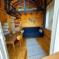 Sole Foca - Adult Only