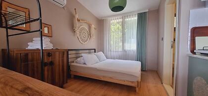 Sole Foca - Adult Only