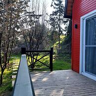 Sole Foca - Adult Only