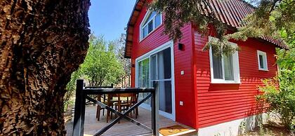 Sole Foca - Adult Only