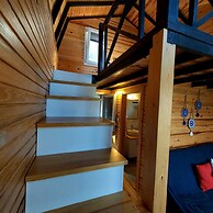 Sole Foca - Adult Only