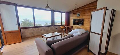 Sole Foca - Adult Only