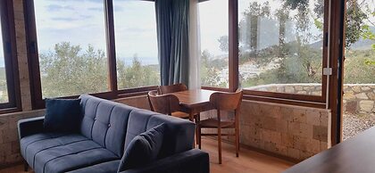 Sole Foca - Adult Only