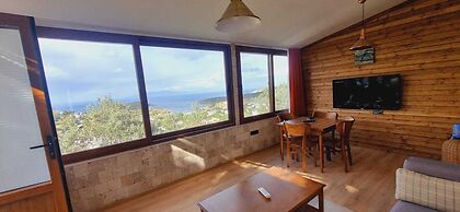 Sole Foca - Adult Only