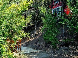 Sole Foca - Adult Only