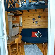 Sole Foca - Adult Only