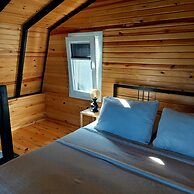 Sole Foca - Adult Only