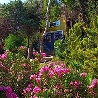 Sole Foca - Adult Only