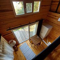 Sole Foca - Adult Only