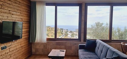 Sole Foca - Adult Only