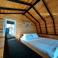 Sole Foca - Adult Only