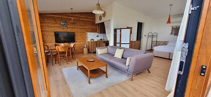 Sole Foca - Adult Only