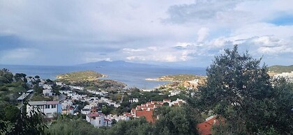 Sole Foca - Adult Only