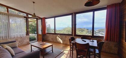 Sole Foca - Adult Only