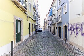 Santa Catarina Harmony by Homing