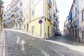 Santa Catarina Harmony by Homing