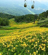 Shigakogen Milky Hot Spring Keikokunoyu