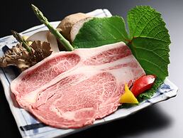 Shigakogen Milky Hot Spring Keikokunoyu