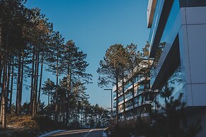 Amarillo Nadmorski Azyl Shellter Rogowo Gara