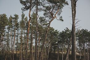 Amarillo Nadmorski Azyl Shellter Rogowo Gara