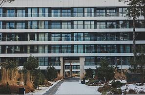 Amarillo Nadmorski Azyl Shellter Rogowo Gara