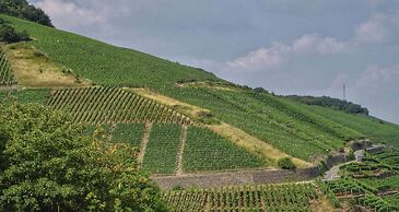 AhrPart Hotel Central