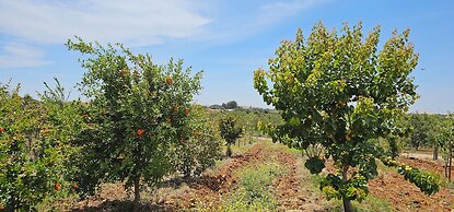 Quinta da Bornacha