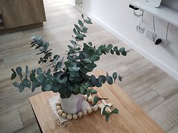 Estudio en Palermo 4