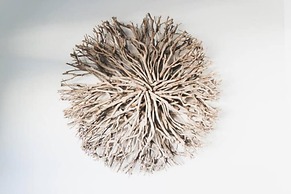 Calming Waves - 2 1 Condo 1 Block From Beach