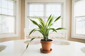 Coastal Escape w Pool Pool Table Walk to Beach