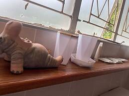 Pristine 1 Bed Cottage in Northern Suburbs - 2222