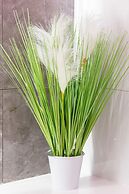 Apartment & Garden by Renters Prestige