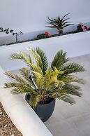 Zannos Luxury Suites by Zannos Collection