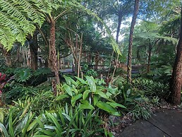 The Oasis One Mile beach