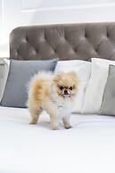 Palazzo Goldoni Condotti Collection