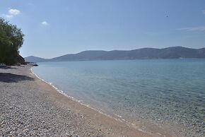 Salamis Beachfront House