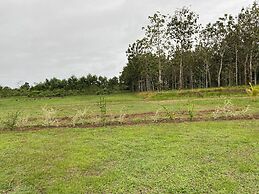Campo Verde Lodge