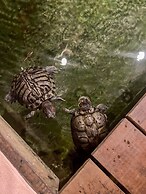 Bangsar Private Pool Villa Kuala Lumpur