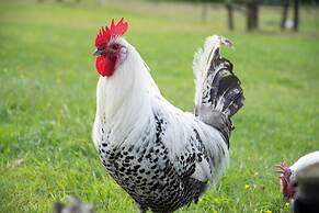 Antonius Hoeve Chalets