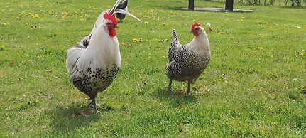 Antonius Hoeve Chalets