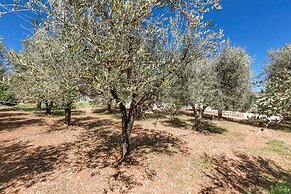 3856 Trulli Ulivo di Puglia by Barbarhouse