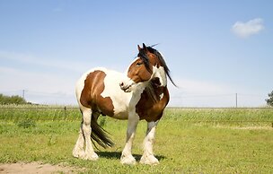 Granelunds Bed & Country Living