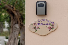 Laconia Domus - Plytra