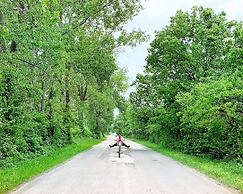 Cliffside Suite #3 - Seacliff Beach Suites