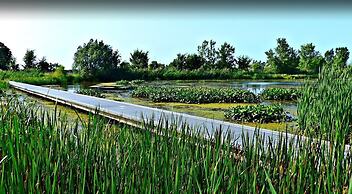 Cliffside Suite #3 - Seacliff Beach Suites