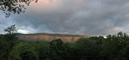 Riverside Serenity: A Picturesque Retreat 2 Bedroom Cottage by RedAwni