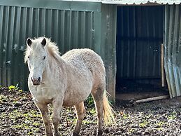 Captivating 1-bed Apartment in Hereford