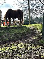 Charming 1-bed Apartment in Hereford